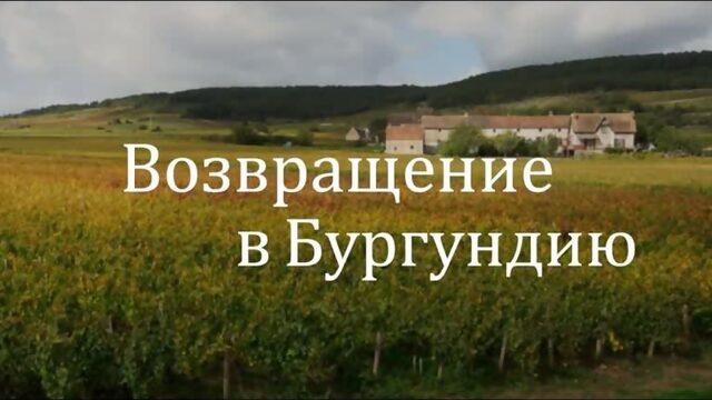 Возвращение в Бургундию / Ce qui nous lie - 2017, Франция, Комедия, Возраст: 16+ [ARTViD.RU] Трейлер