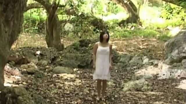 [LCDV-20061] 小向美奈子 Minako Komukai – STEPS